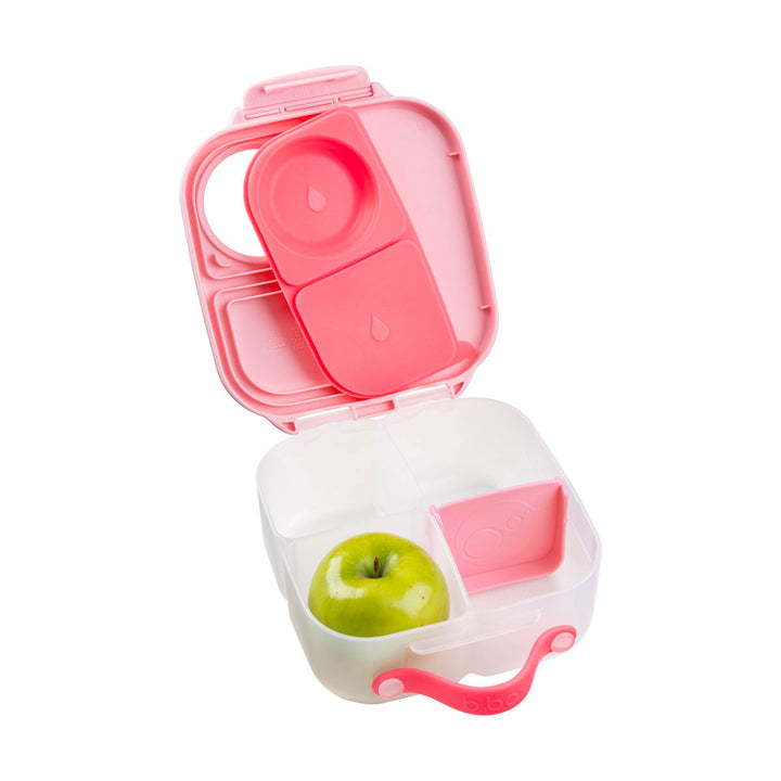 Mini Lunchbox