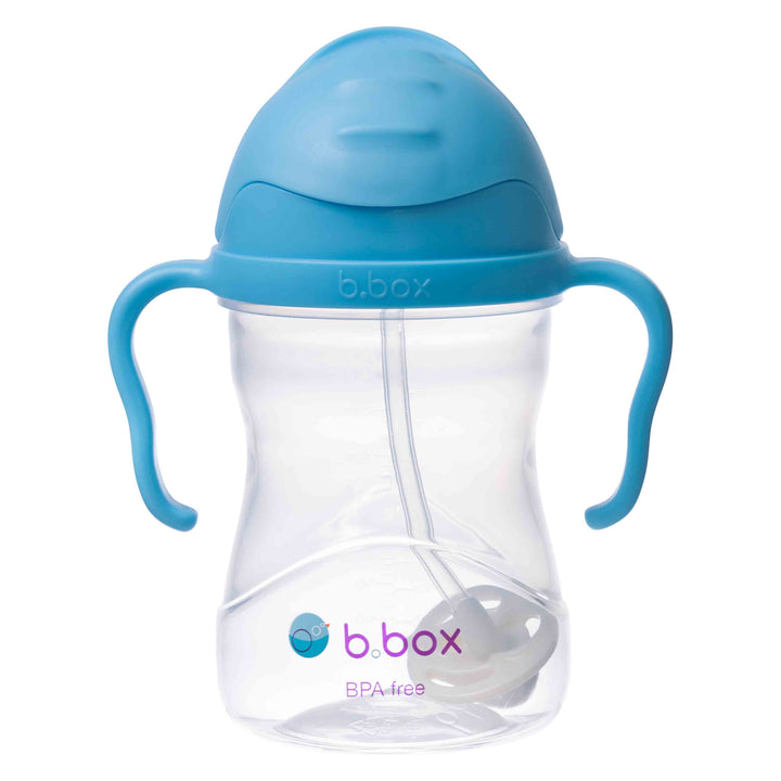 Sippy Straw Cup 240ml WM