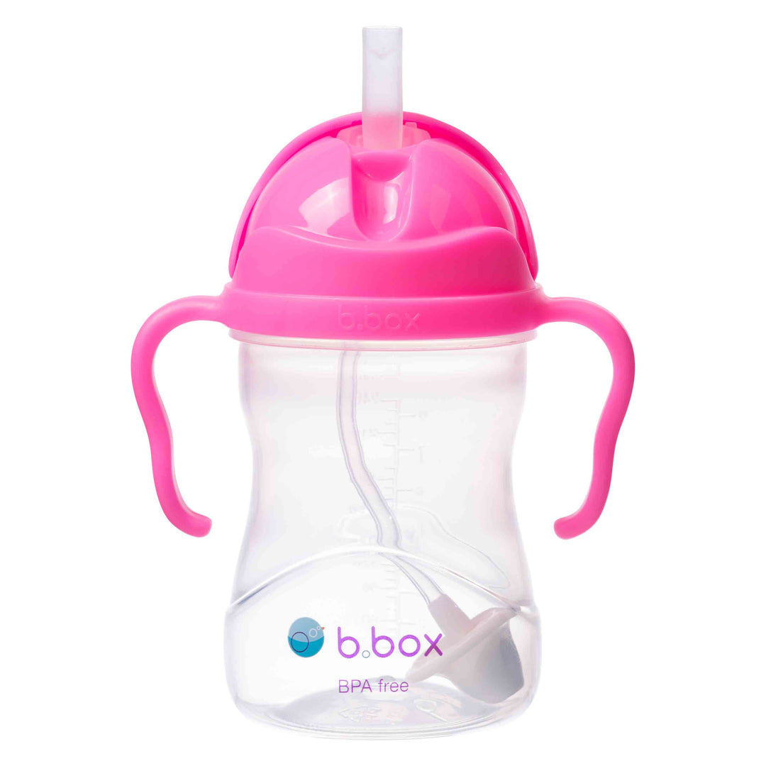 Sippy Cup - Pink Pomegranate