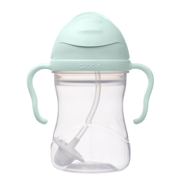 Sippy Straw Cup 240ml