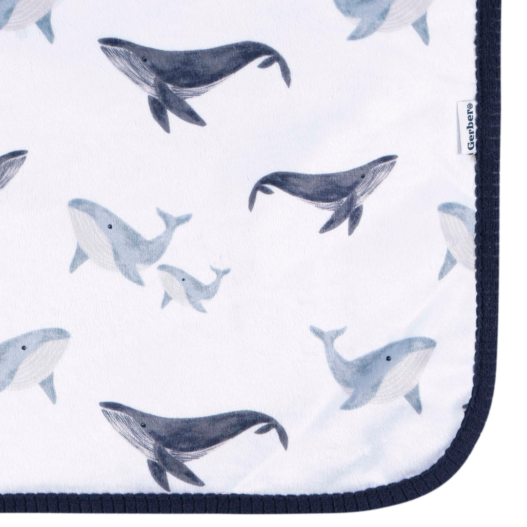 2ply Plush Blanket - Coastal Calm