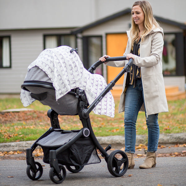 Lot de 2 clips pour poussette