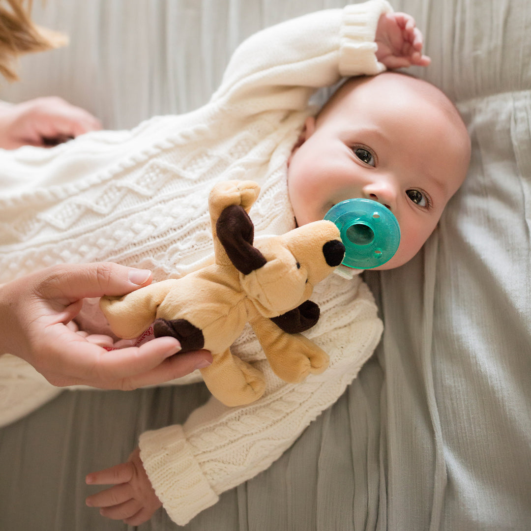 Infant Pacifier