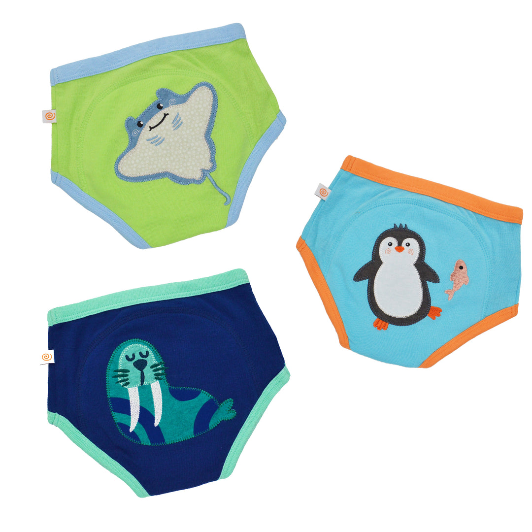 Organic Cotton 3 Piece Potty Training Pants