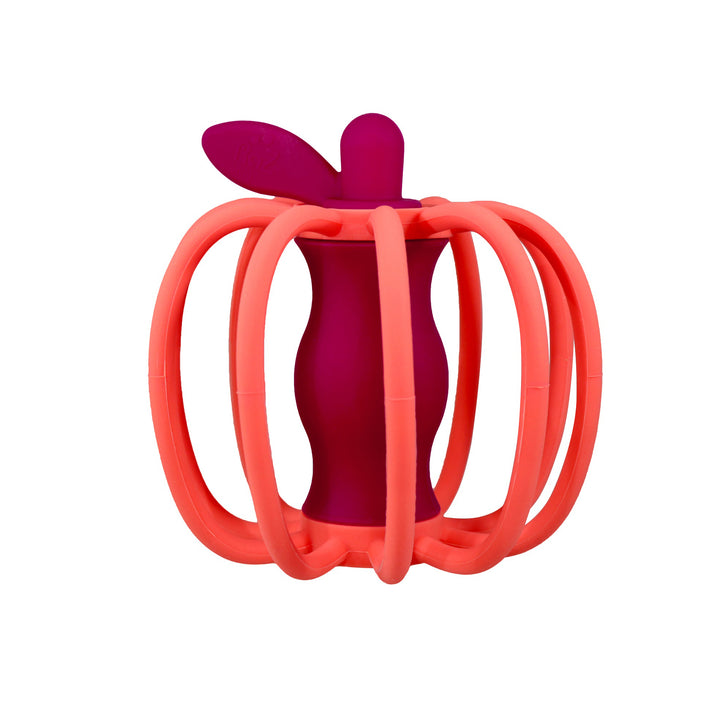 Teether & Rattle Toy