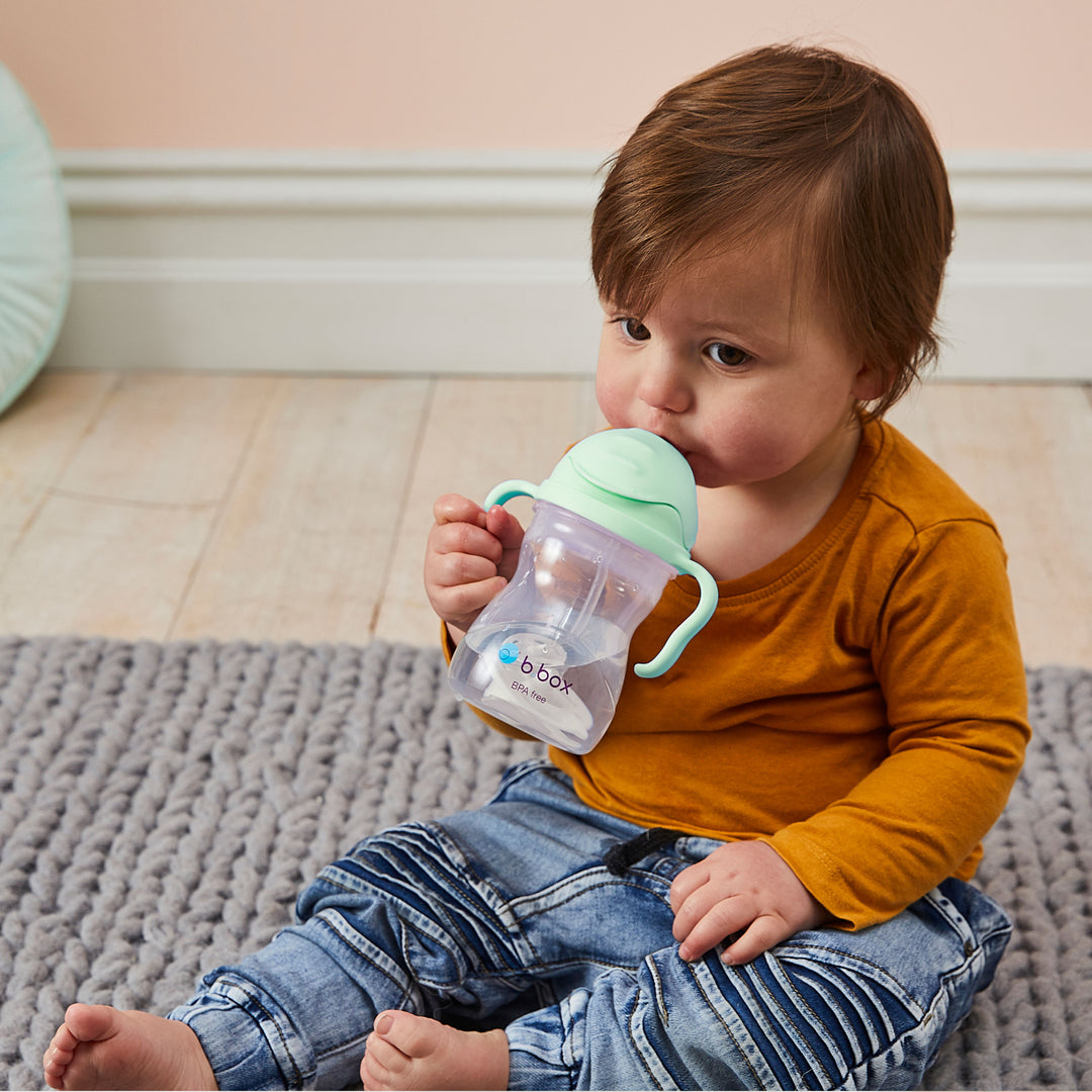 Sippy Straw Cup 240ml WM