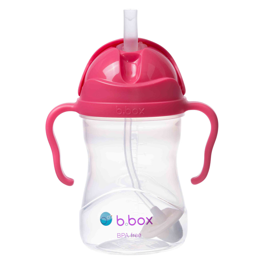 Sippy Straw Cup 240ml WM