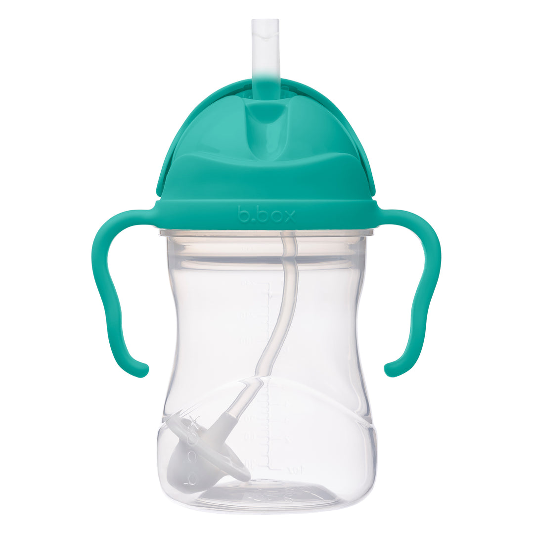 Sippy Straw Cup 240ml