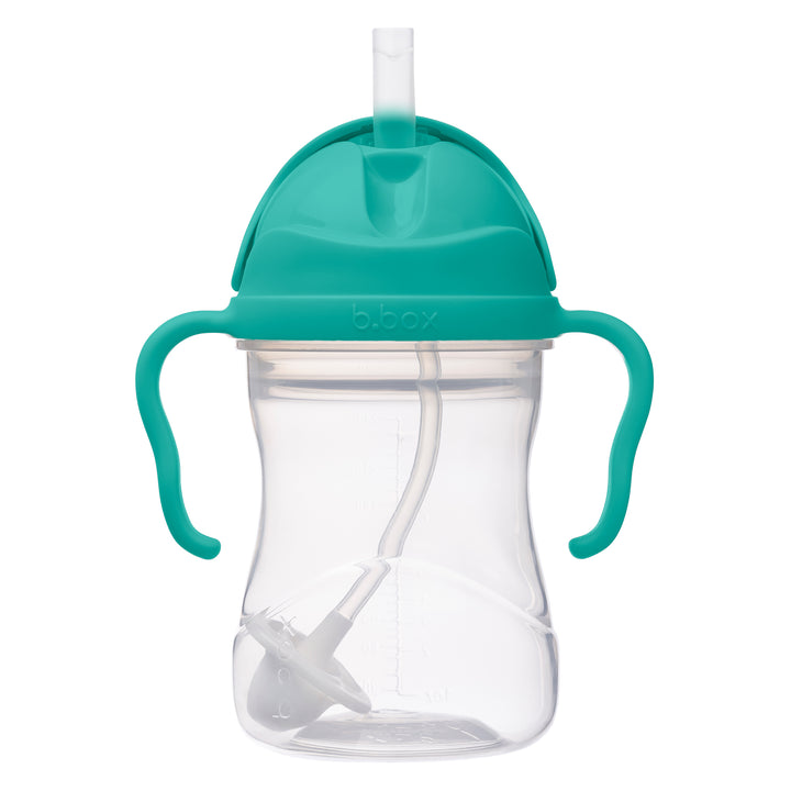 Sippy Straw Cup 240ml