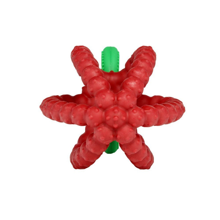 RaZberry Bites Teething Toy - Red