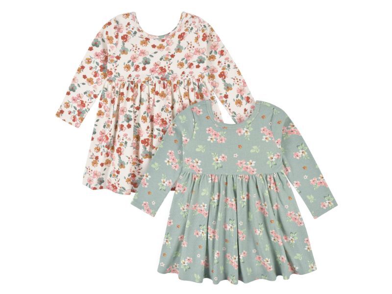 d - Gerber-OP22F-2pc Dress VanillaGrn Floral 24M 2-Pack Baby Girls Green Floral Long Sleeve Dresses 013618330940