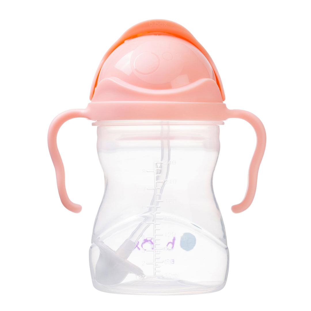 Sippy Straw Cup 240ml