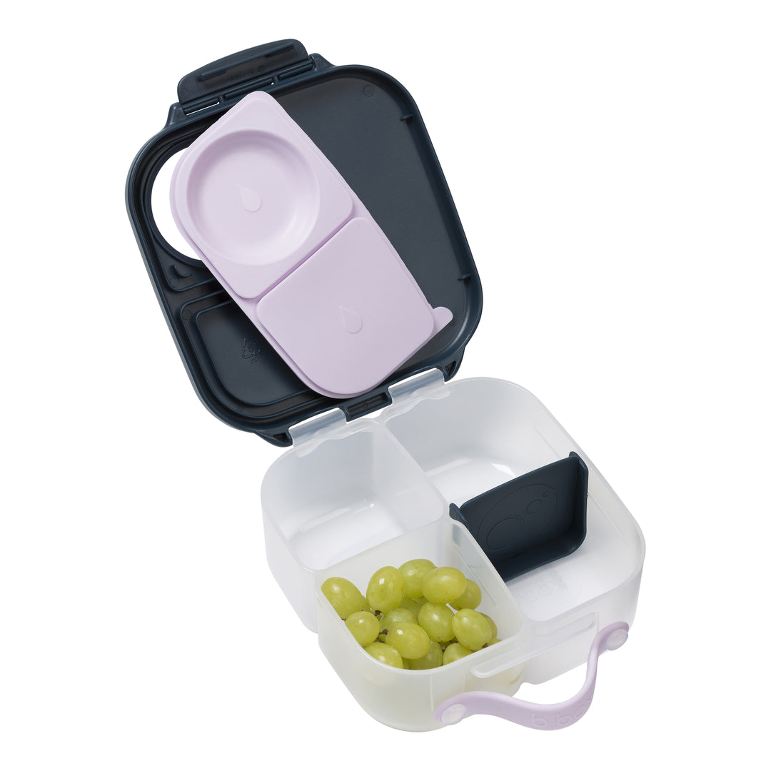 Mini Lunchbox