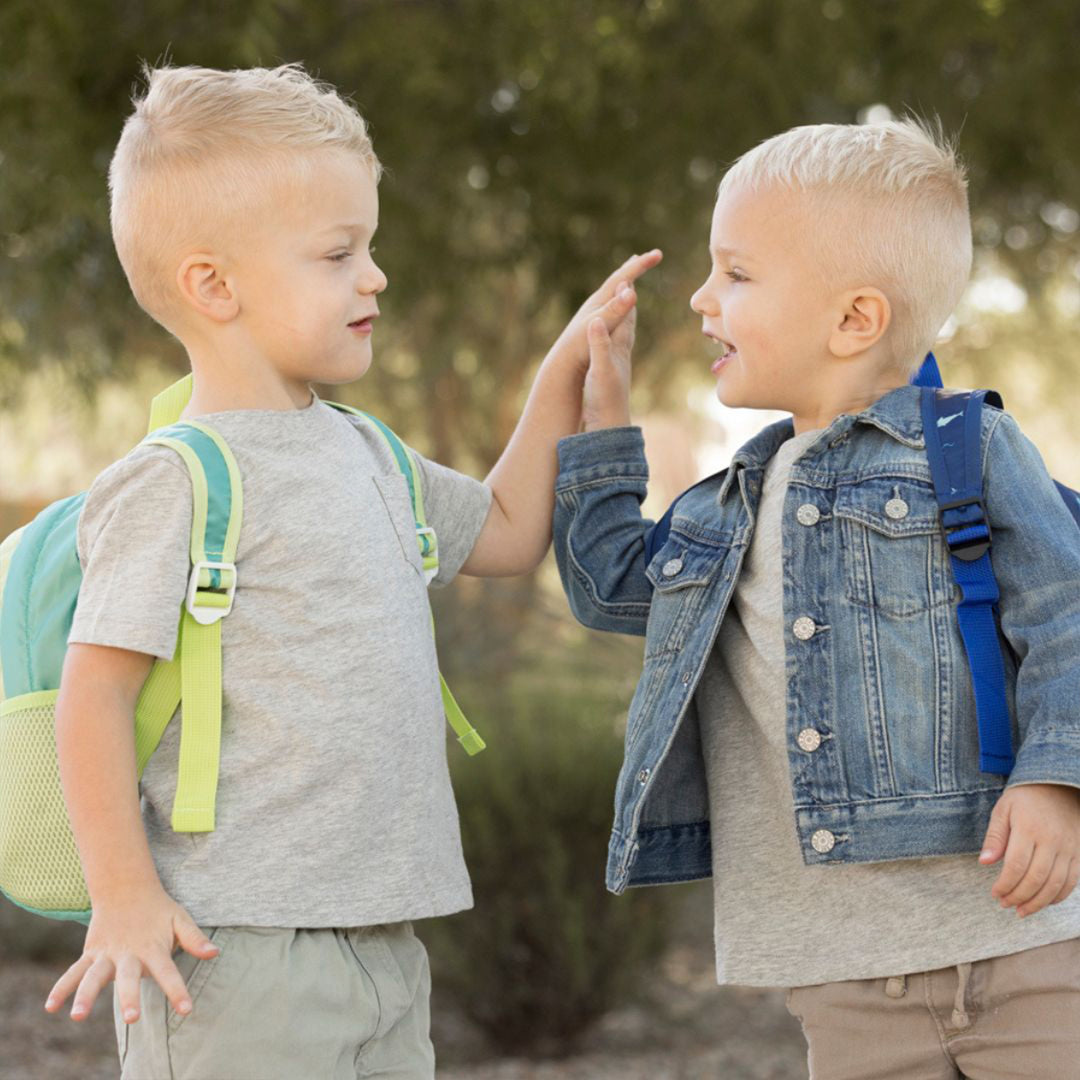 Toddler Foldup Backpack
