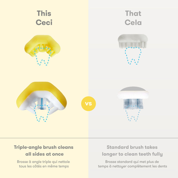 Brosse à dents d'apprentissage pour les tout-petits