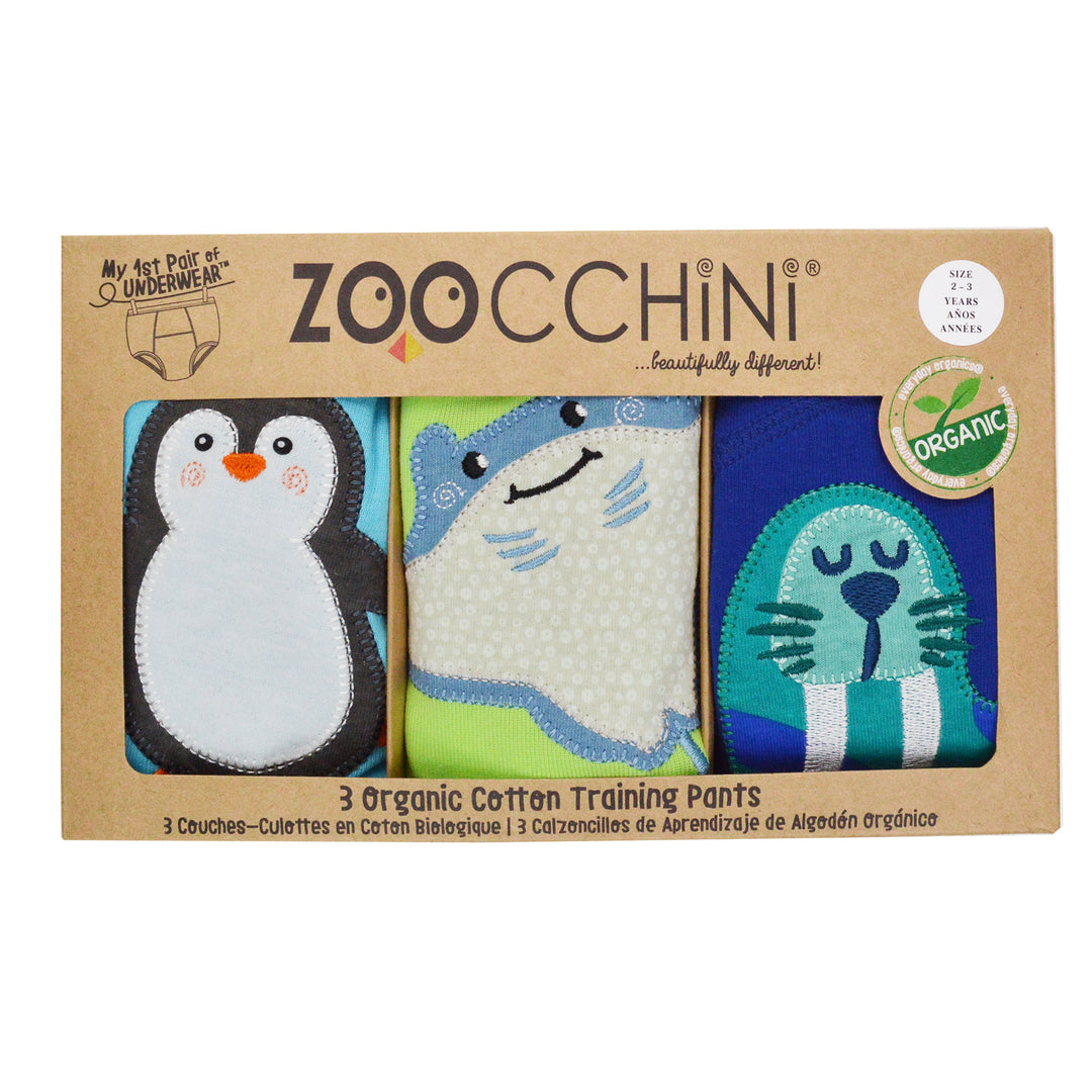 Organic Cotton 3 Piece Potty Training Pants