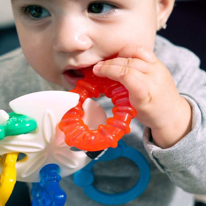 Sea of Sensory™ Teether Toy