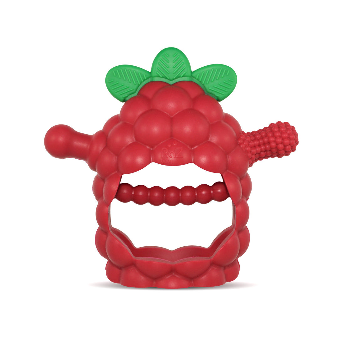 RaZberry Grip Teether Toy