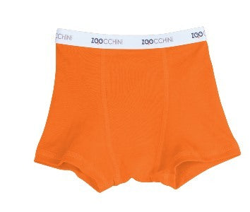 Boys Boxer - Fox, Walrus & Raccoon 3PK