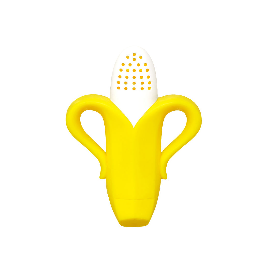 Fruitique Fruit Baby Feeder