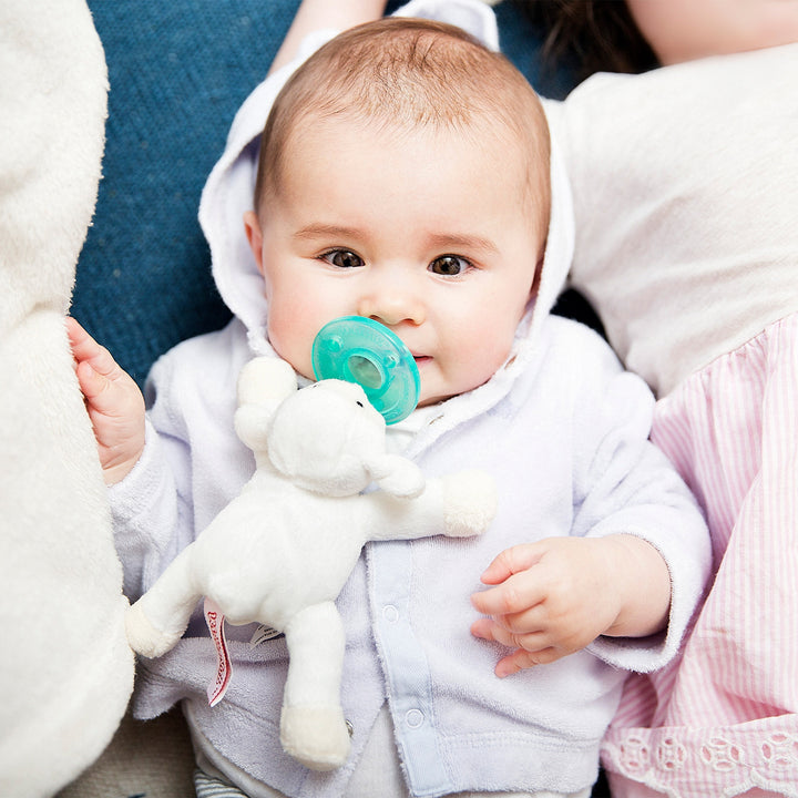 Infant Pacifier