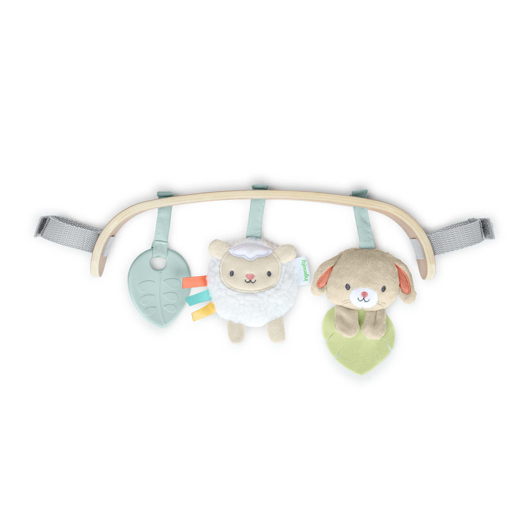 Wonder & Wood Carrier Toybar