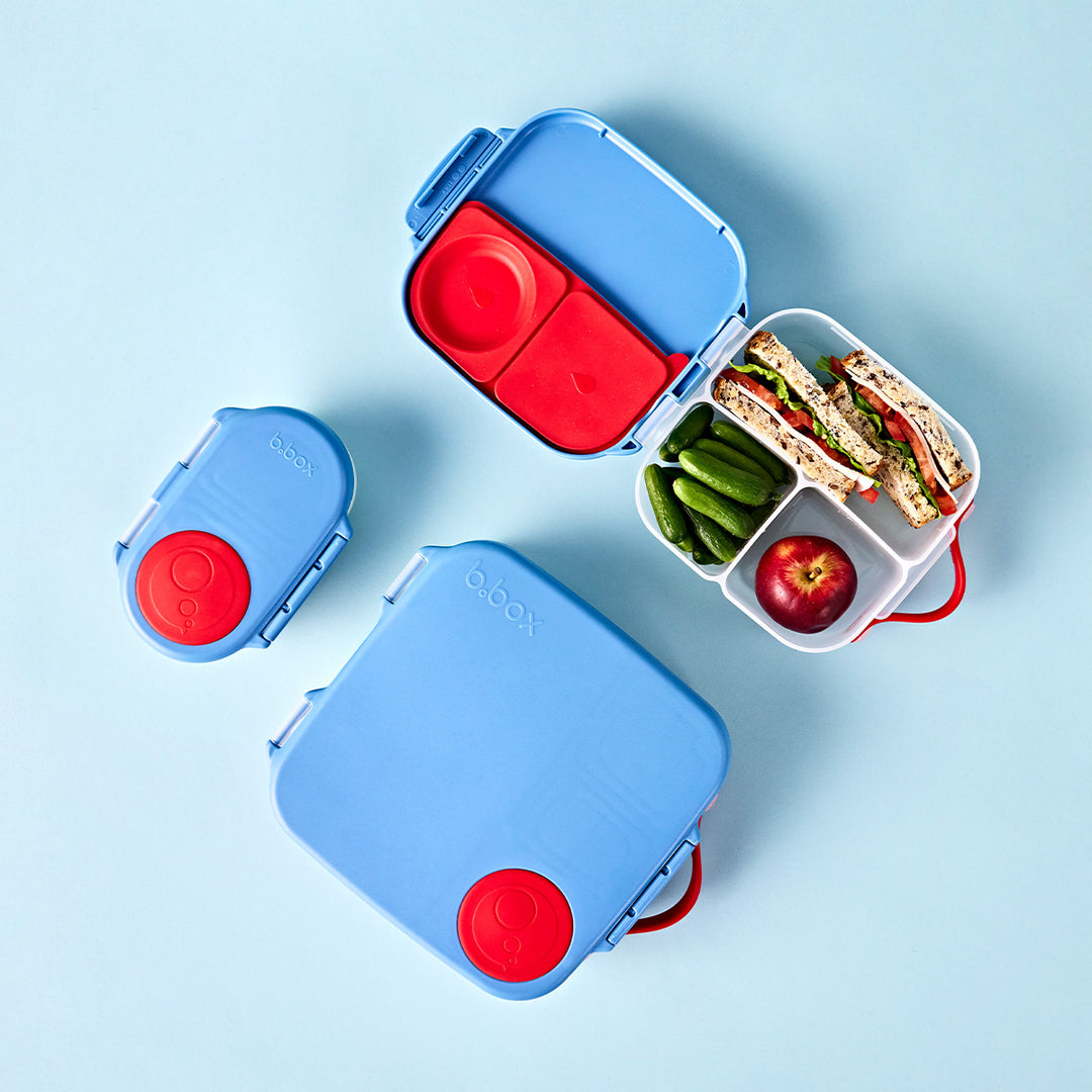 Mini Lunchbox