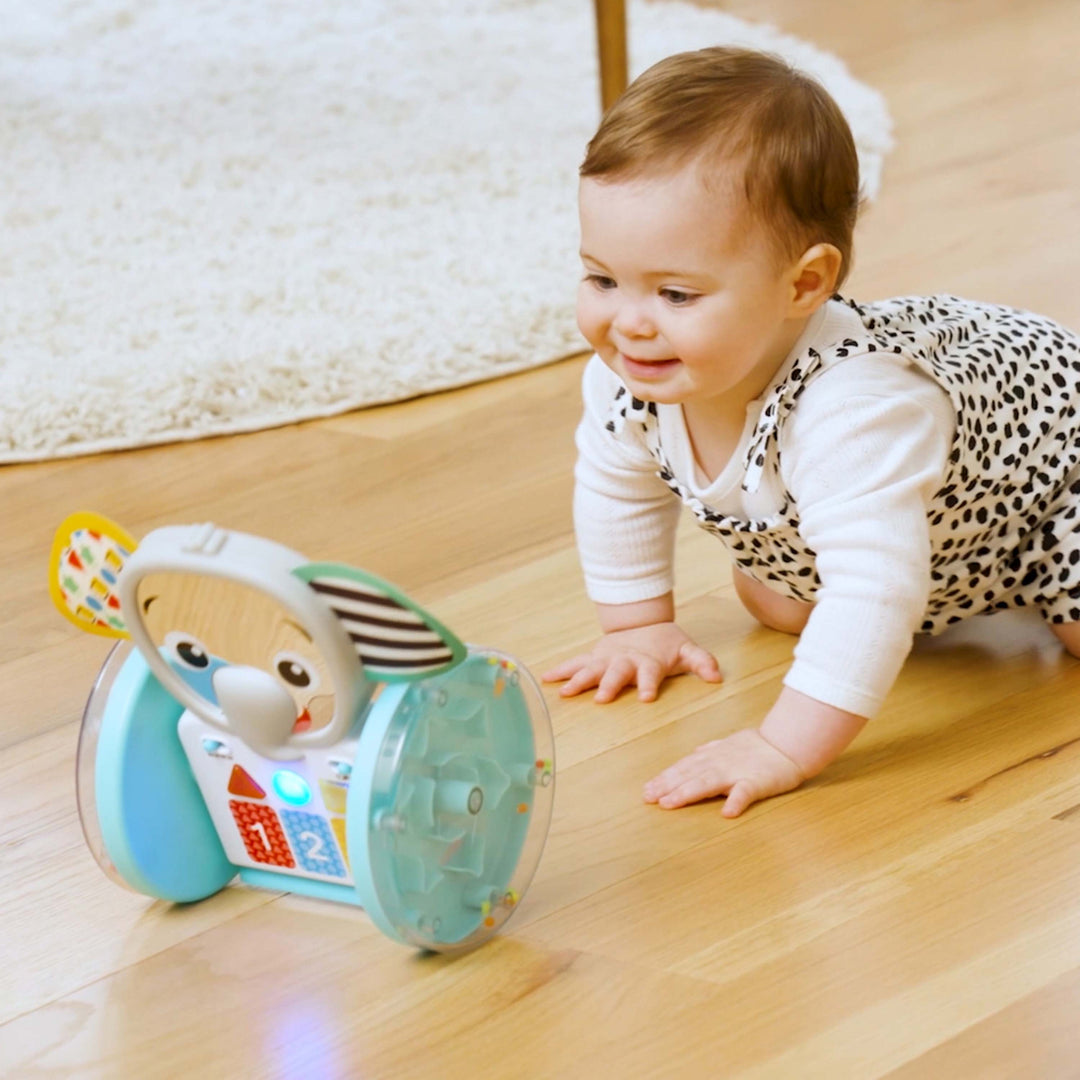 Chase + Tap Earl Interactive Crawling Toy