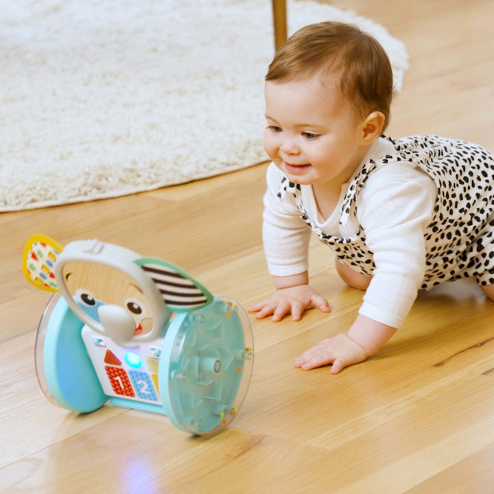 Chase + Tap Earl Interactive Crawling Toy