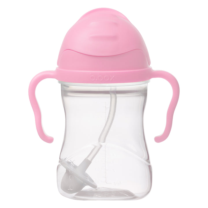 Sippy Straw Cup 240ml