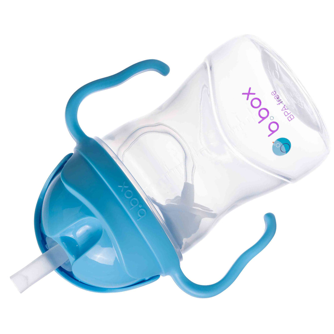 Sippy Straw Cup 240ml WM