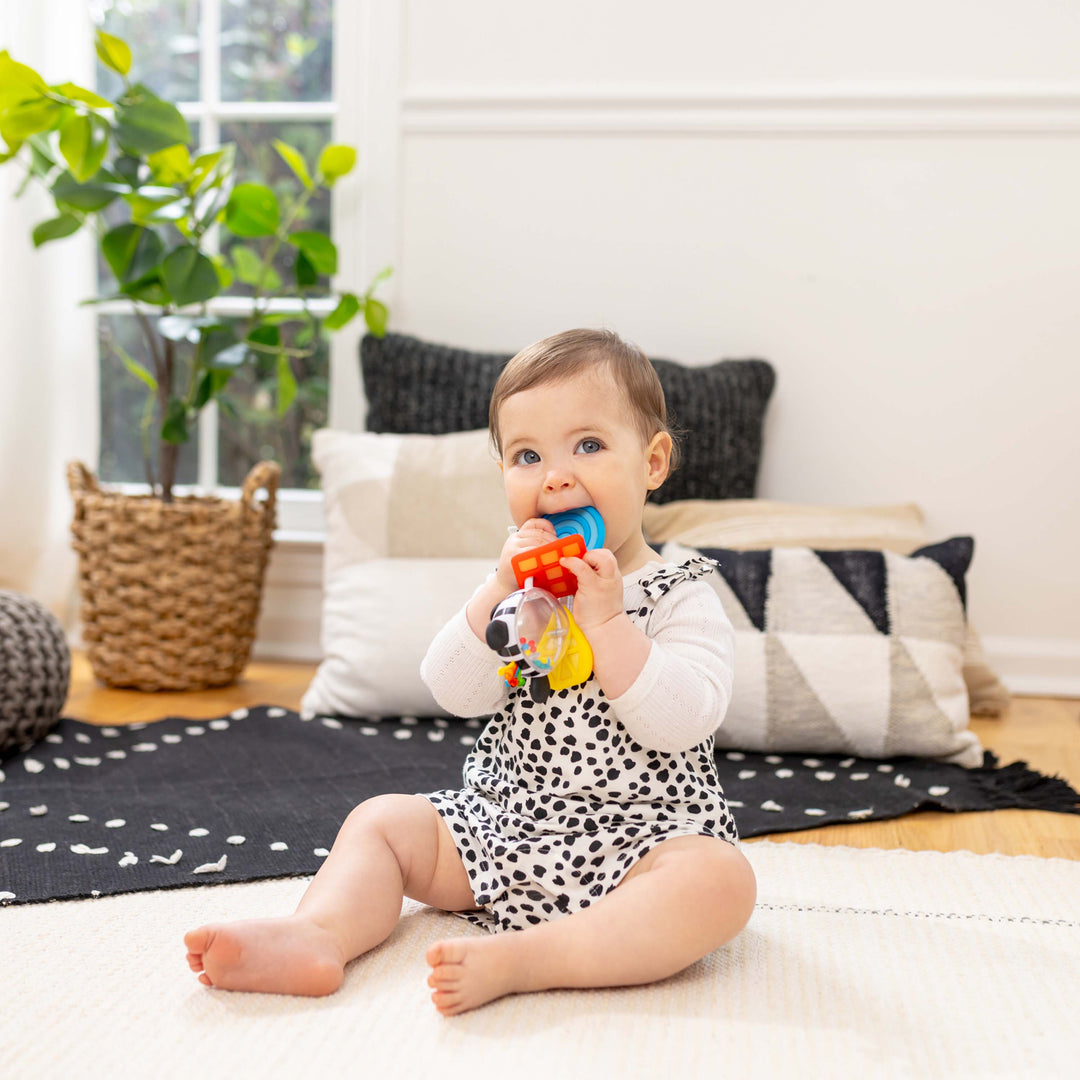 Shake-a-Shape Zen Teether Toy