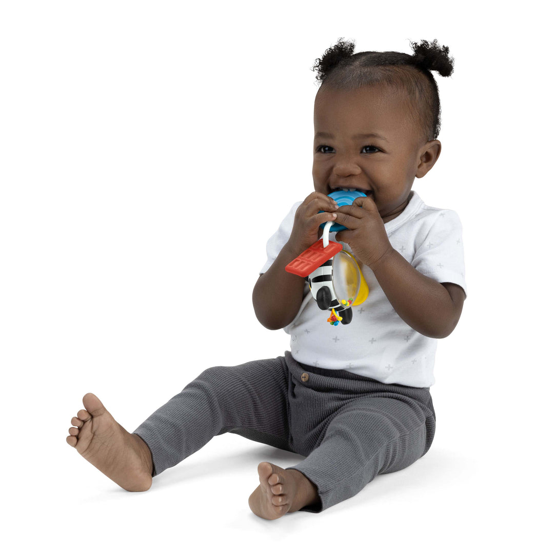 Shake-a-Shape Zen Teether Toy