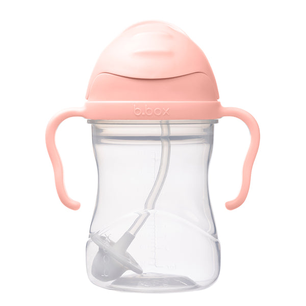 Sippy Straw Cup 240ml