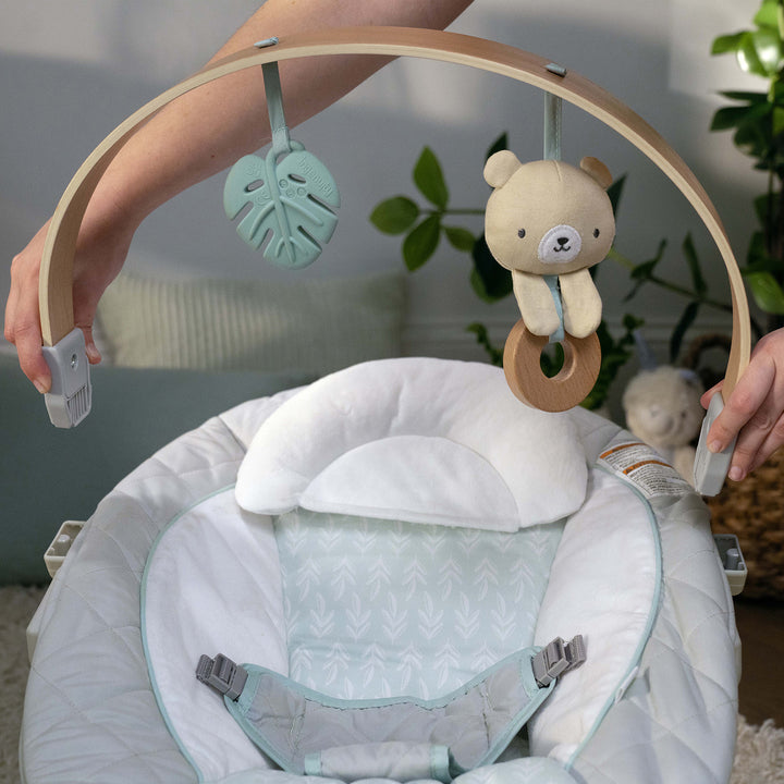 Cozy Spot™ Soothing Bouncer