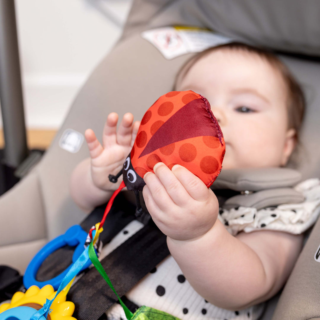 Touch of Nature Sensory Toy