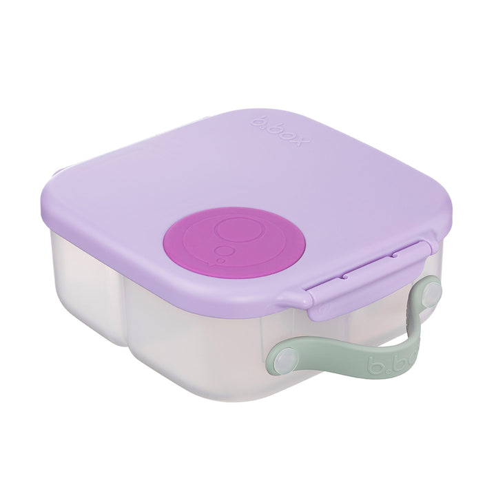 Mini Lunchbox