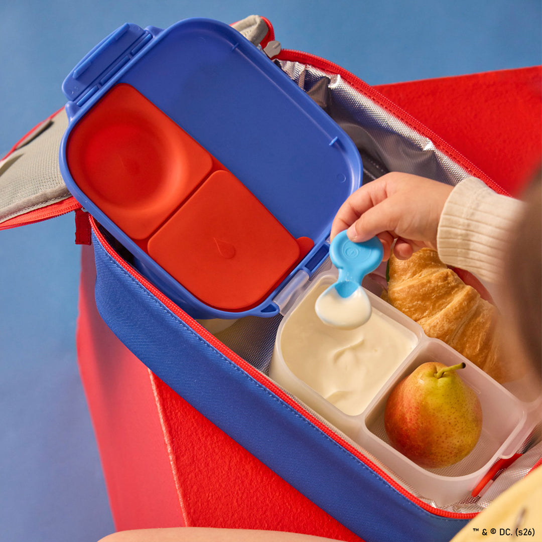 Mini Lunchbox