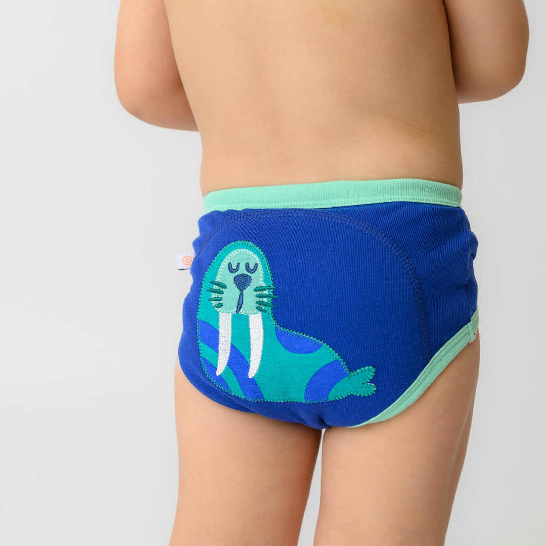 Organic Cotton 3 Piece Potty Training Pants