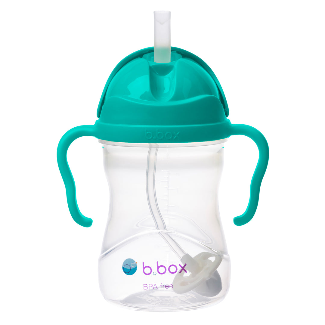 Sippy Straw Cup 240ml WM