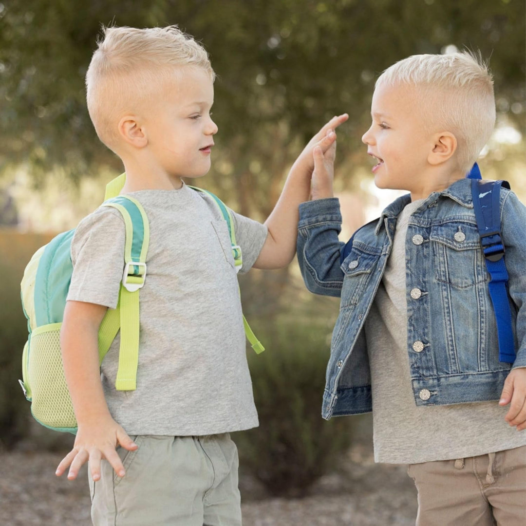 Toddler Foldup Backpack