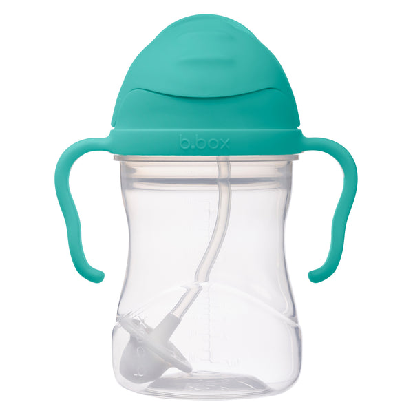 Sippy Straw Cup 240ml