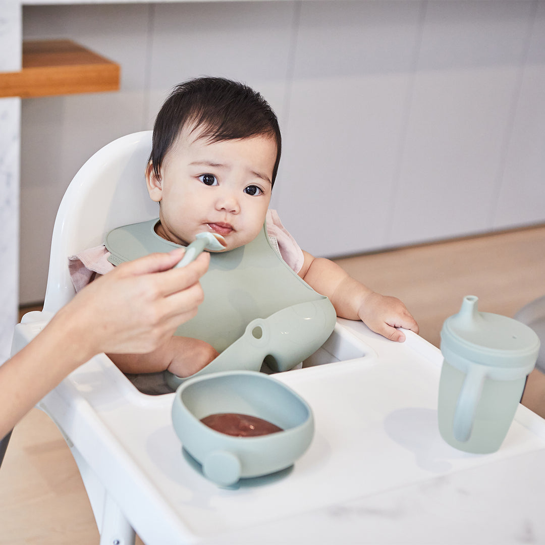 Silicone Bowl + Lid