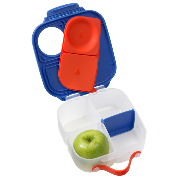 Mini Lunchbox