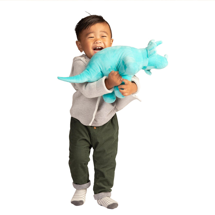 Spike Velveteen Triceratops Dino 9.5"