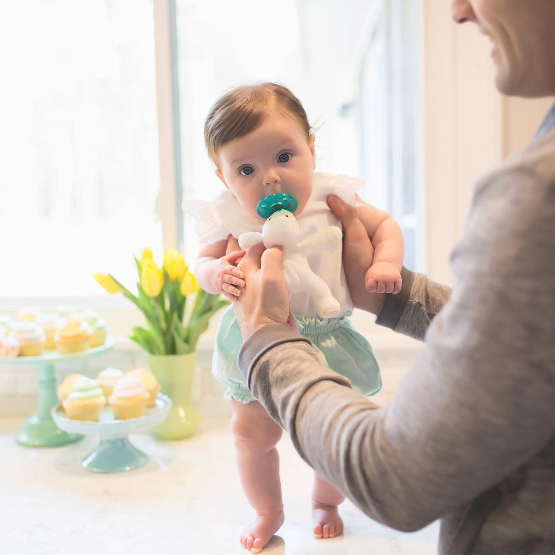 Infant Pacifier